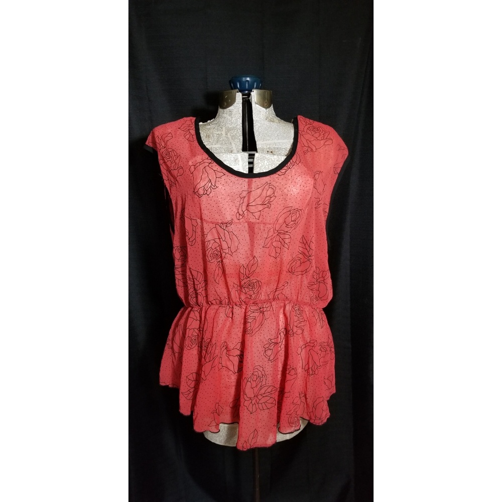 Sheer rose top